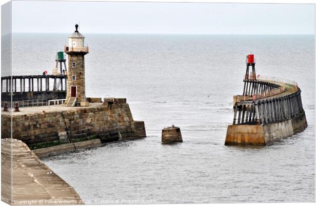 View of whitby piers and lighthouses from the clif Canvas Print by Fiona Williams