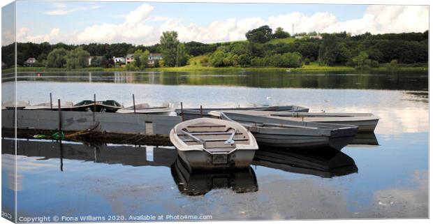 Rowing boats docked at Balloch loch Canvas Print by Fiona Williams