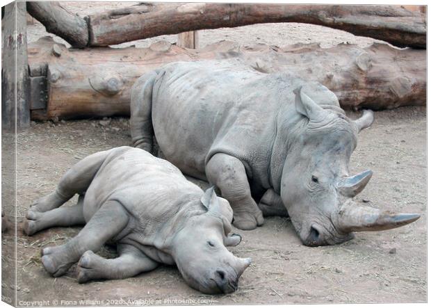 Mum and baby white rhino at Blair Drummond Safari  Canvas Print by Fiona Williams