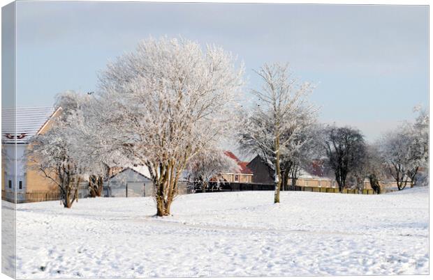 Winter landscape Canvas Print by Fiona Williams