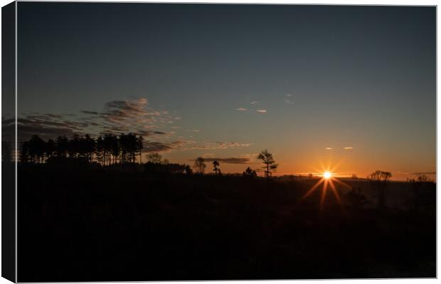 Sunrise over the New Forest Canvas Print by Andy Dow