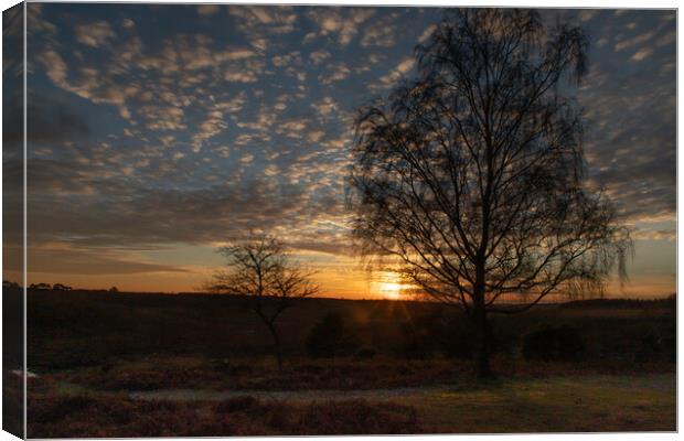 Sunset over the New Forest Canvas Print by Andy Dow