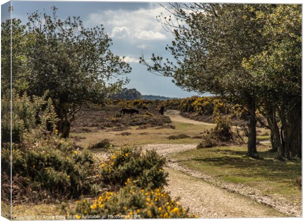 Wandering through the New Forest Canvas Print by Andy Dow