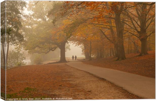 Misty morning at Virginia Waters, Surrey Canvas Print by Andy Dow