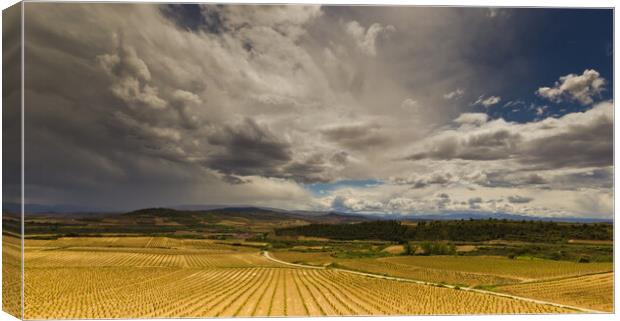 Storms approach over Rioja vineyards  Canvas Print by Andy Dow