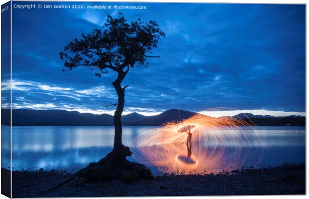 Lone Tree at Millarochy Bay Loch Lomond Scotland Canvas Print by Iain Gordon