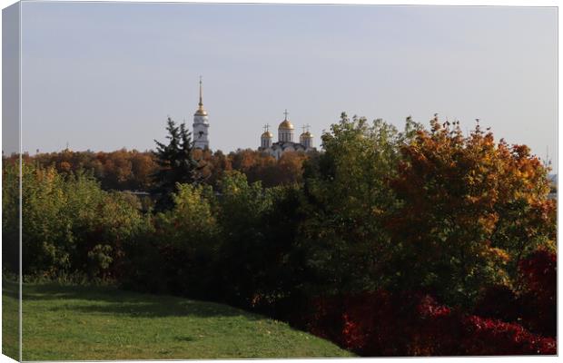 Autumn landscape, top view, panorama, Vladimir city, Russia.  Canvas Print by Karina Osipova