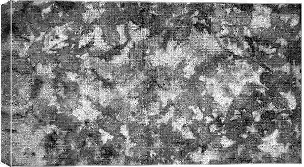 Autumn Leave Imprints on Concrete Canvas Print by Hristo Assadourian