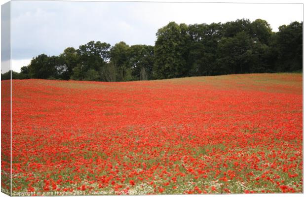 Poppy Field Canvas Print by Kara Hughes