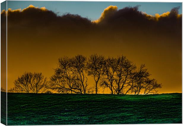 Moody SkylineA large green field in front of a sunset Canvas Print by Roger Foulkes
