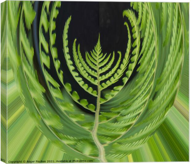 Plant leaves Fern Mouse Eye View Canvas Print by Roger Foulkes