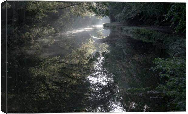 Mirror of worlds in Adlington canal Chorley  Canvas Print by Dee Lister