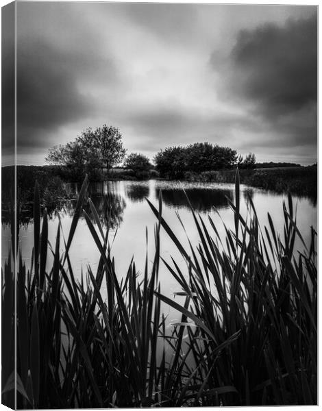Castle Eden Pond in monochrome  Canvas Print by Janet Kelly