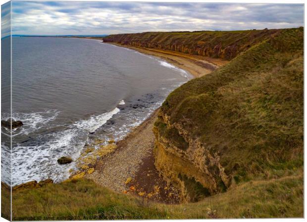 Oceanbeach clifftops at Blackhall Colliery  Canvas Print by Janet Kelly