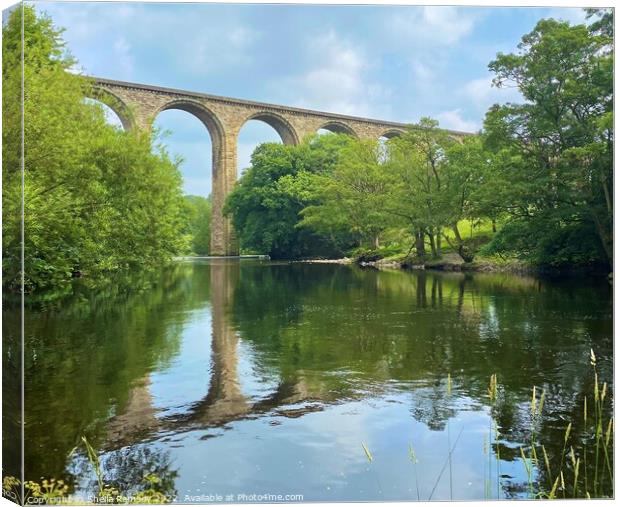 Viaduct over River Dee Canvas Print by Sheila Ramsey