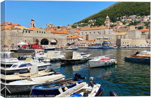 The Harbour Dubrovnik Canvas Print by Sheila Ramsey