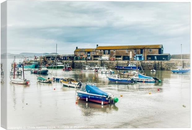 Historic Harbour Lyme Regis Canvas Print by Sheila Ramsey