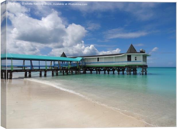 Dickenson Bay Antigua Canvas Print by Sheila Ramsey