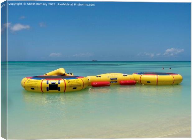 The art of watersport Canvas Print by Sheila Ramsey