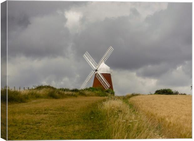 Halnaker Windmill, Chichester Canvas Print by Susan Harrison