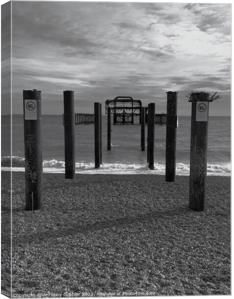 Brighton in black and white Canvas Print by Anthony Goehler