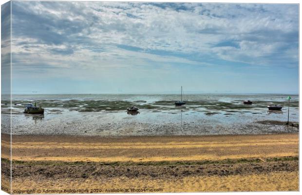 Outdoor oceanbeach Canvas Print by Adrianna Bielobradek