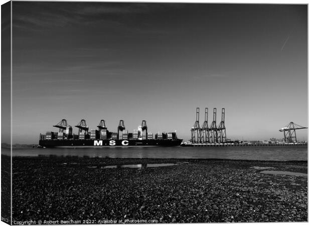 MSC Diletta docked at Felixstowe Suffolk Canvas Print by Robert Beecham