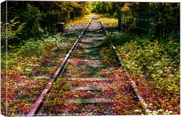 Abandoned Railway Line  Canvas Print by Michael W Salter