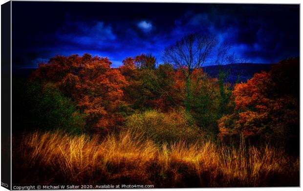 Autumn By Moonlight Canvas Print by Michael W Salter