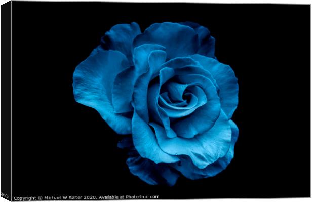 Blue Rose Canvas Print by Michael W Salter