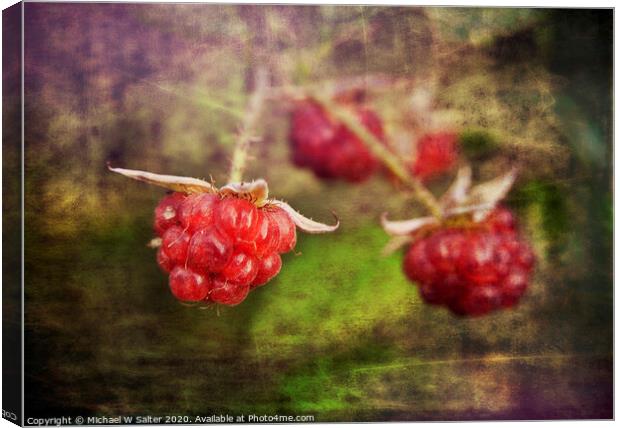 Raspberrys In the wild Canvas Print by Michael W Salter