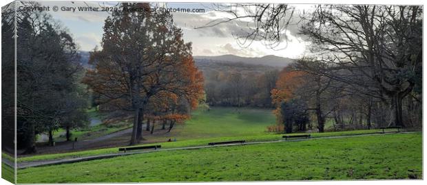 Outdoor grass Canvas Print by Gary Winter