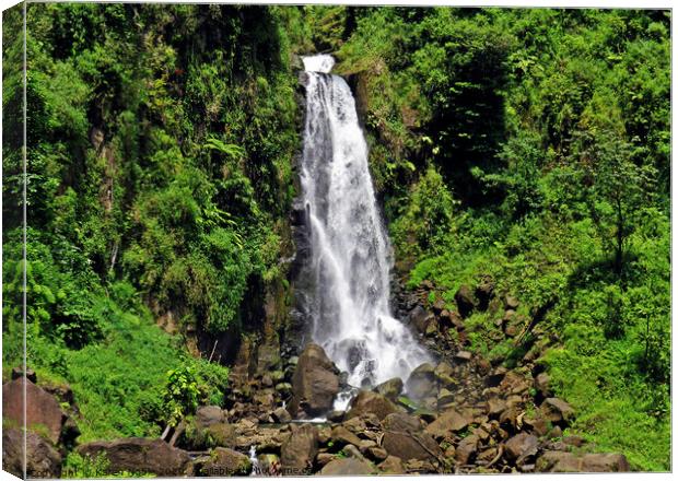 Trafalgar falls waterfall in Dominica, a tiny unsp Canvas Print by Karen Noble