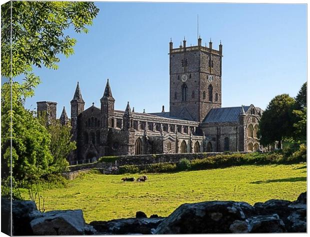 ST.David's Cathedral Canvas Print by Rhodri Phillips