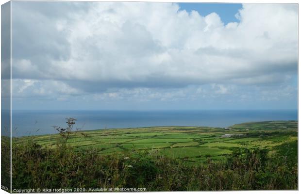 Cornish Coastline, Near Morvah Canvas Print by Rika Hodgson