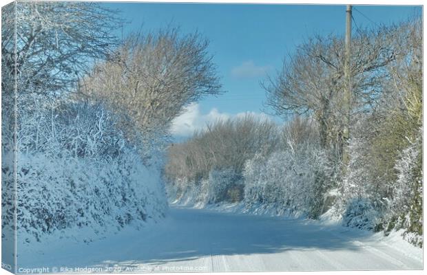 Frozen Hedges, Horsedowns, West Cornwall Canvas Print by Rika Hodgson