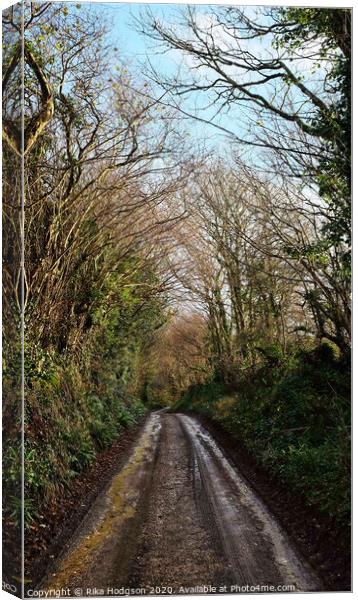 Muddy lane, Leedstown, West Cornwall Canvas Print by Rika Hodgson