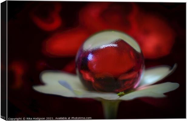 Tiny Glass Ball on Flower, Close Up Canvas Print by Rika Hodgson