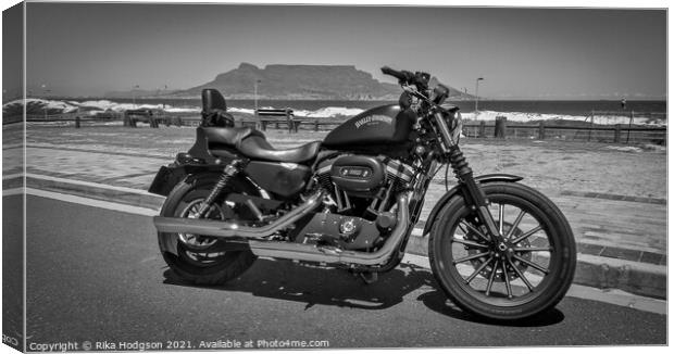 Black Sportster Iron, Cape Town, South Africa Canvas Print by Rika Hodgson