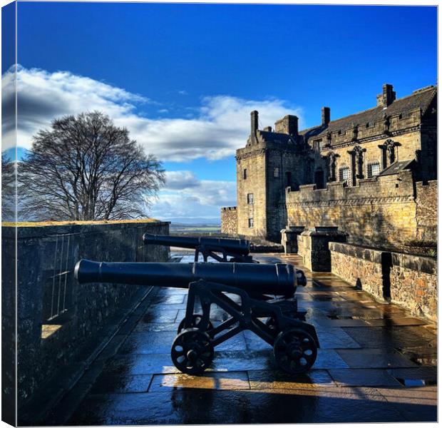 Stirling Castle Canvas Print by David Bennett