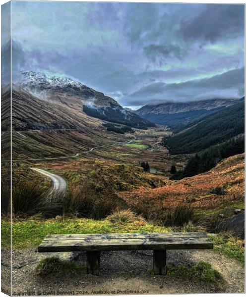 Loch Lomond Rest and be Thankful Canvas Print by David Bennett