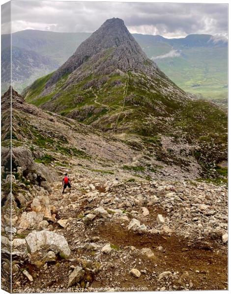 Tryfan North Wales Canvas Print by David Bennett