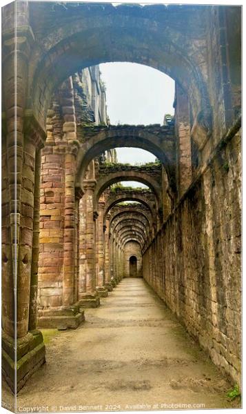 Fountains Abbey Yorkshire Canvas Print by David Bennett