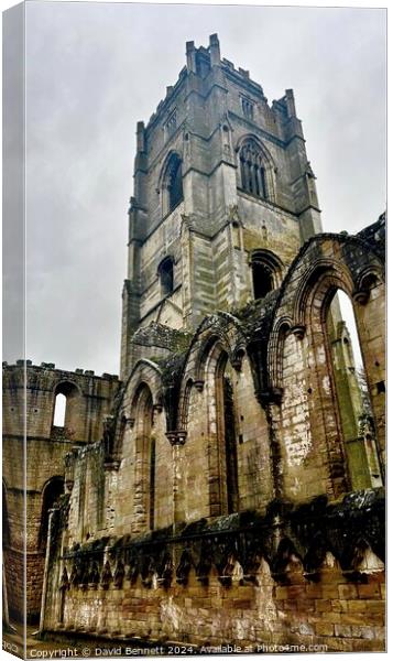 Fountains Abbey Yorkshire Canvas Print by David Bennett