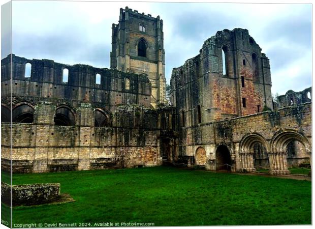 Yorkshire Fountains Abbey  Canvas Print by David Bennett