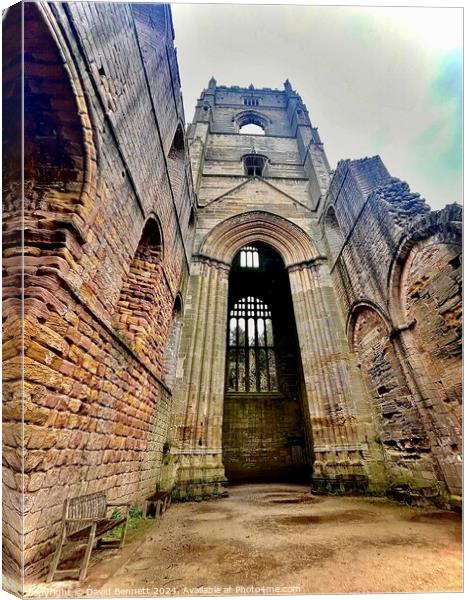 Yorkshire Fountains Abbey  Canvas Print by David Bennett