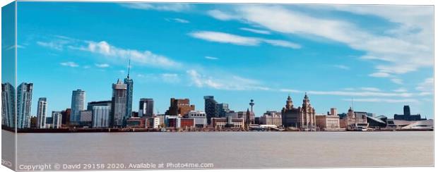 Liverpool Skyline  Canvas Print by David Bennett