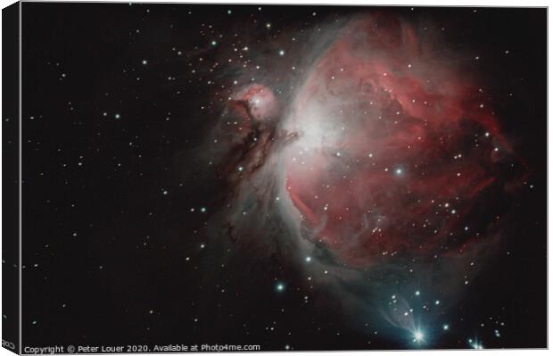 The Orion Nebula Canvas Print by Peter Louer
