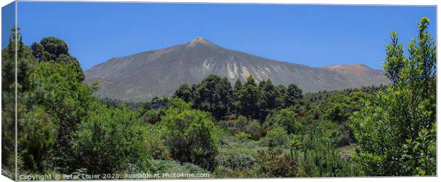 Mount Teide Canvas Print by Peter Louer