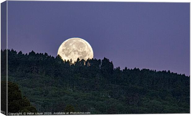 Moon Setting over North Tenerife Canvas Print by Peter Louer